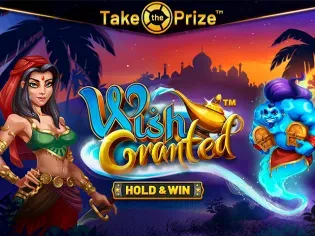 Wish Granted screenshot